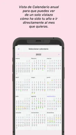 Vista de calendario anual